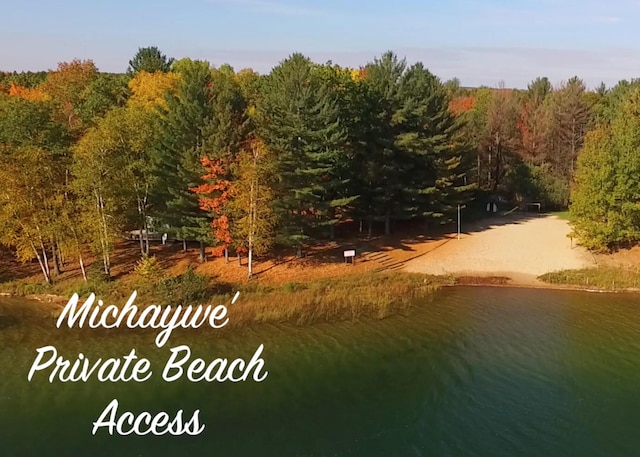 6778 Whispering Pines Dr, Gaylord, MI 49735 - photo 37