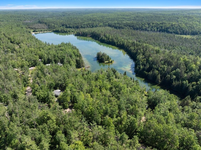 14703 Shore Line Dr, Wolverine, MI 49799 - photo 1