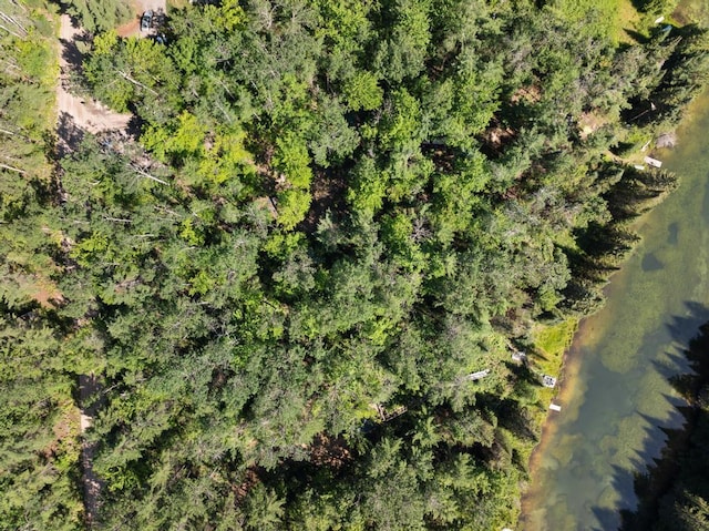14703 Shore Line Dr, Wolverine, MI 49799 - photo 5