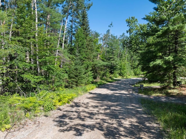 14703 Shore Line Dr, Wolverine, MI 49799 - photo 4