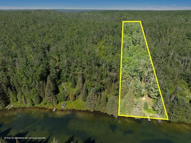 14703 Shore Line Dr, Wolverine, MI 49799 - photo 10