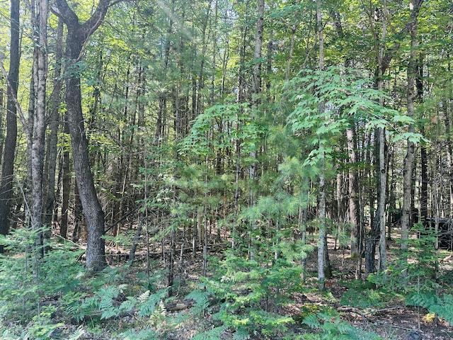LOT39 Ausable River Trl, Roscommon, MI 48653 - photo 5