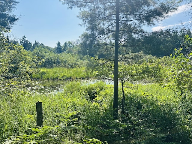 LOT39 Ausable River Trl, Roscommon, MI 48653 - photo 1