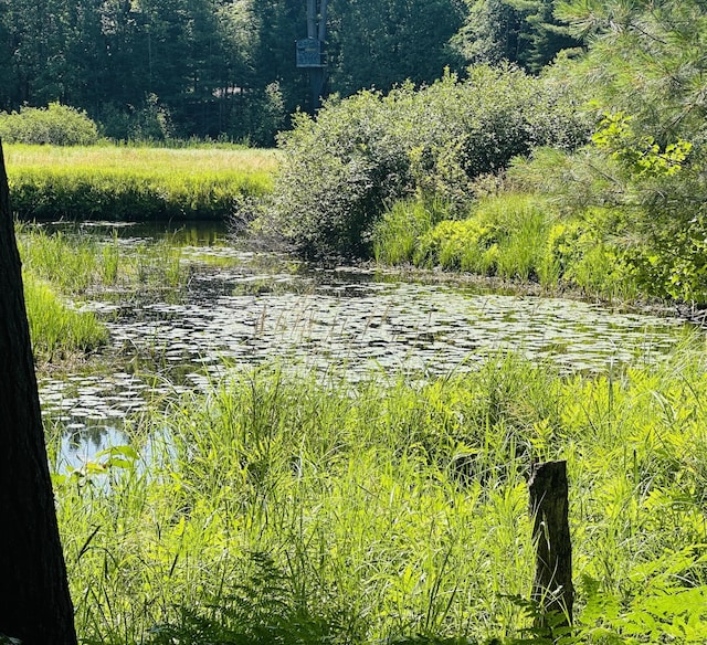 LOT39 Ausable River Trl, Roscommon, MI 48653 - photo 3