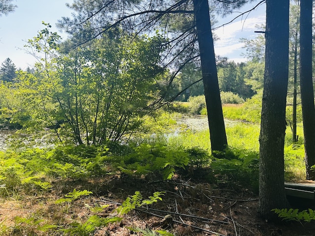 LOT39 Ausable River Trl, Roscommon, MI 48653 - photo 4