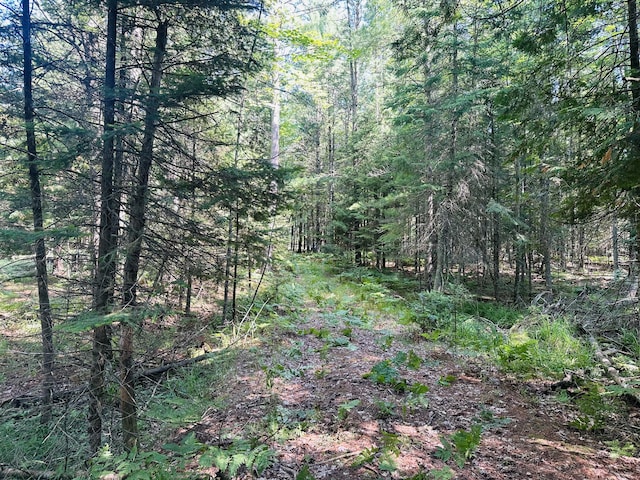 LOT39 Ausable River Trl, Roscommon, MI 48653 - photo 7