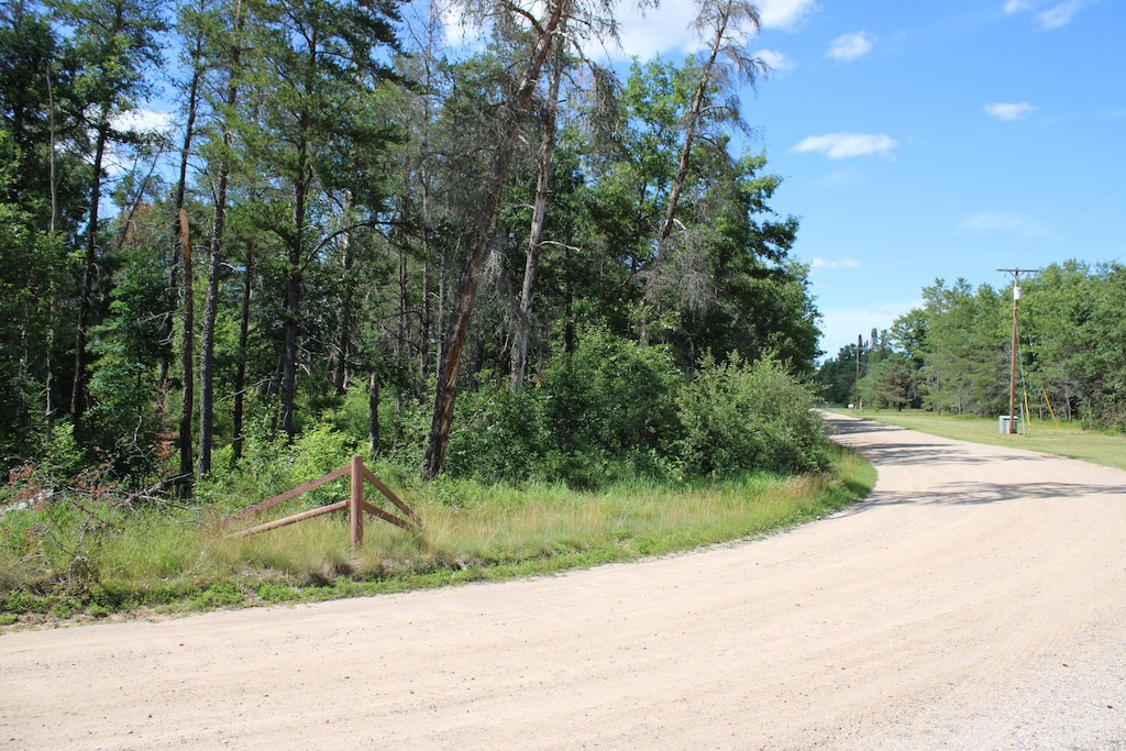 67AND68 Jackpine Loop, Mio, MI 48647 - photo 2