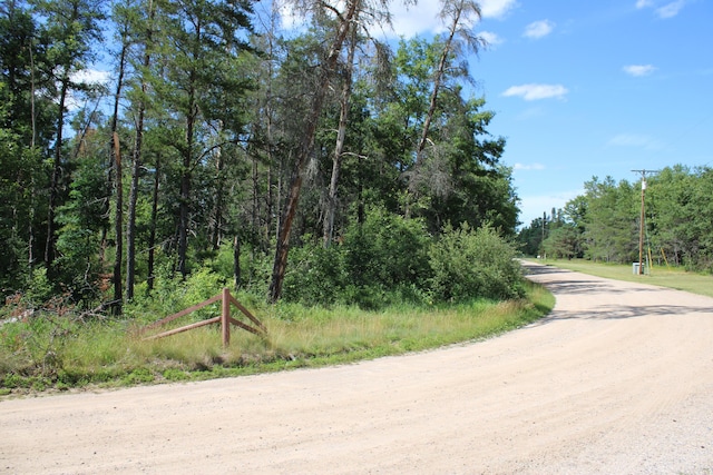 67AND68 Jackpine Loop, Mio, MI 48647 - photo 2