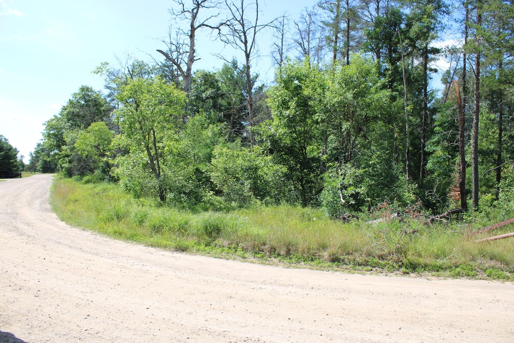 67AND68 Jackpine Loop, Mio, MI 48647 - photo 3