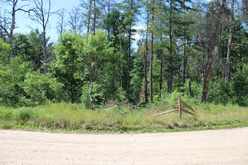 67AND68 Jackpine Loop, Mio, MI 48647 - photo 4