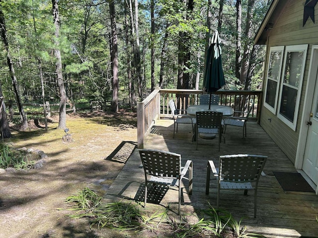 503 Frick St, Mio, MI 48647 - photo 23
