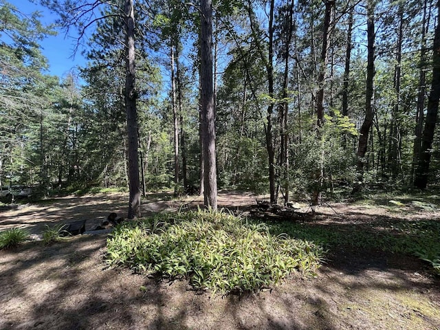 503 Frick St, Mio, MI 48647 - photo 24