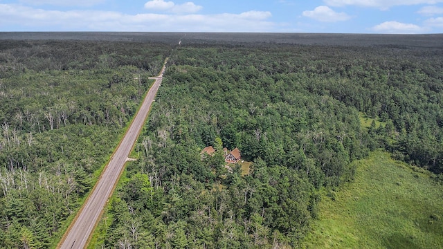 127 Zimowske Rd, Mio, MI 48647 - photo 7