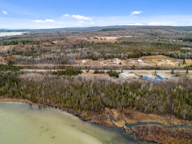 8503 US-31, Alanson, MI 49706 - photo 3