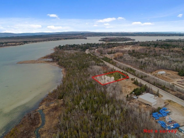 8503 US-31, Alanson, MI 49706 - photo 4