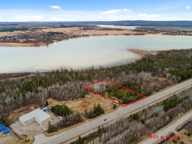 8503 US-31, Alanson, MI 49706 - photo 1