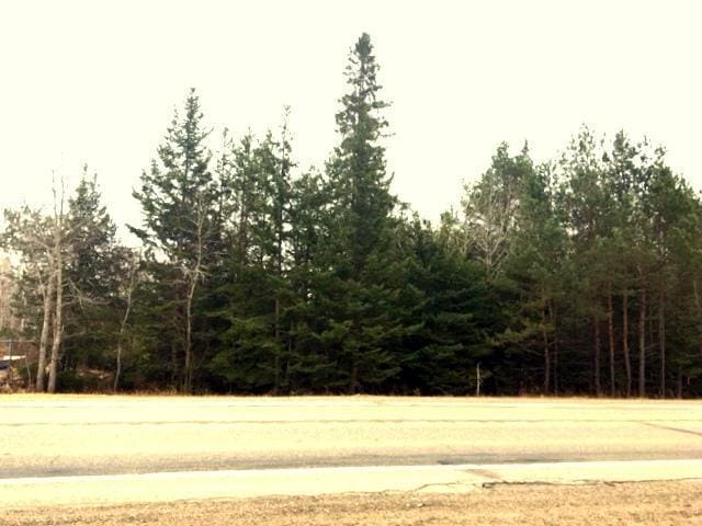 8503 US-31, Alanson, MI 49706 - photo 8