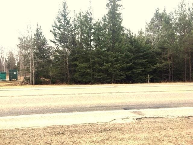 8503 US-31, Alanson, MI 49706 - photo 9