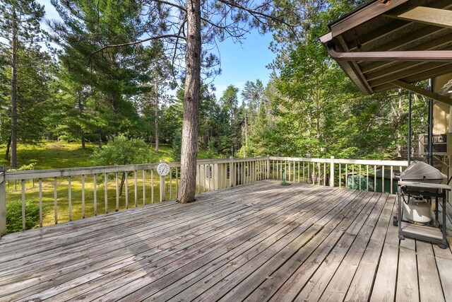 10596 Pines Trl, Roscommon, MI 48653 - photo 26