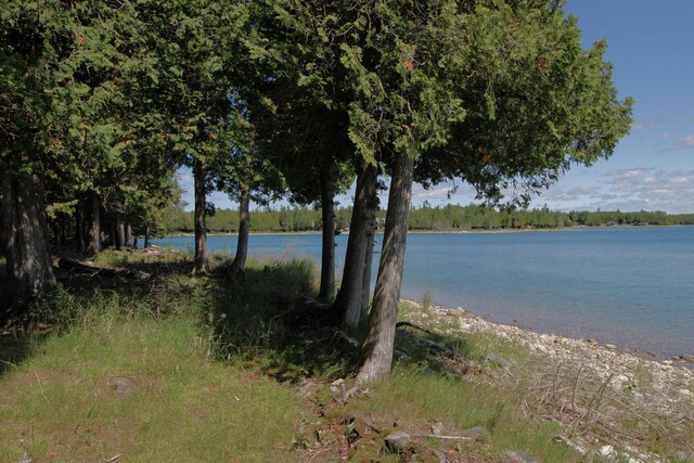 36533 S Parrish Point Rd, Drummond Island, MI 49726 - photo 10