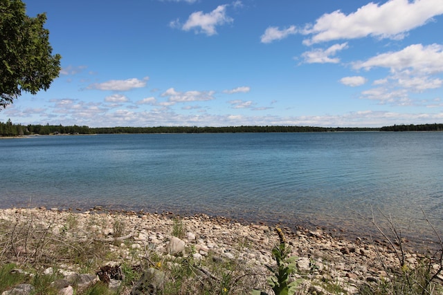 36533 S Parrish Point Rd, Drummond Island, MI 49726 - photo 11