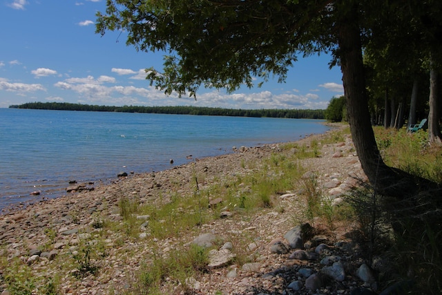 36533 S Parrish Point Rd, Drummond Island, MI 49726 - photo 12