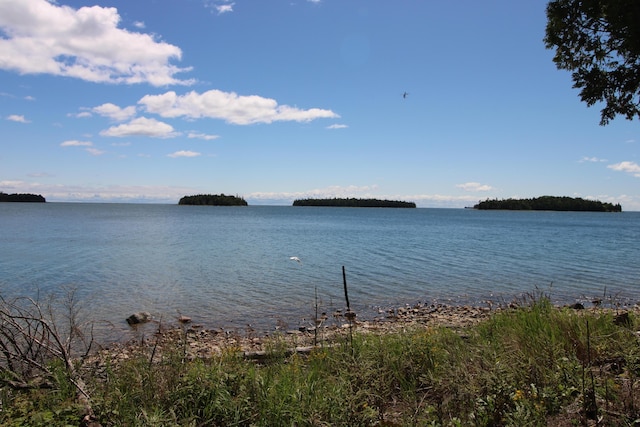 36533 S Parrish Point Rd, Drummond Island, MI 49726 - photo 13