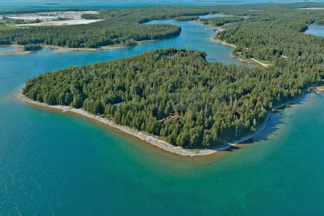36533 S Parrish Point Rd, Drummond Island, MI 49726 - photo 53