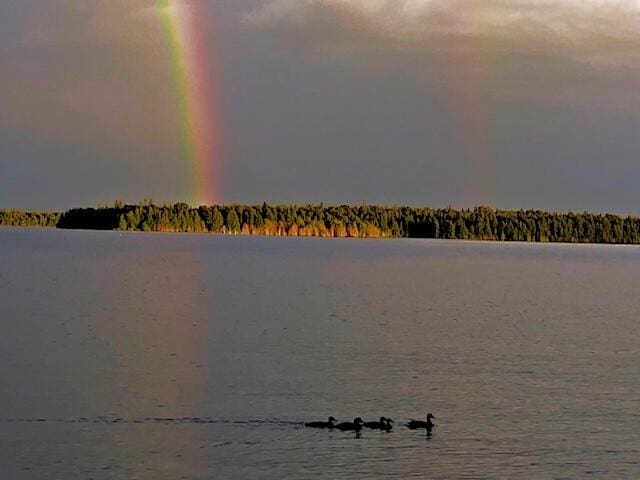 36533 S Parrish Point Rd, Drummond Island, MI 49726 - photo 54