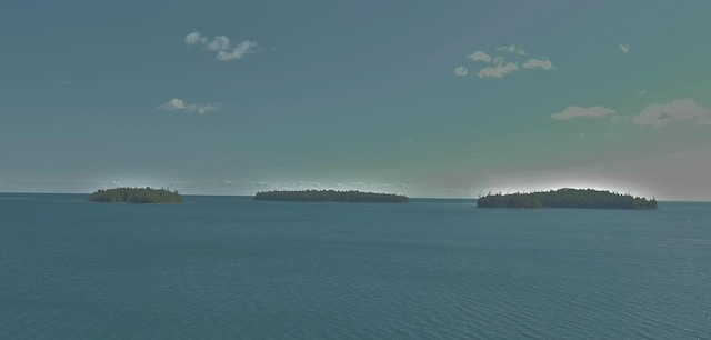 36533 S Parrish Point Rd, Drummond Island, MI 49726 - photo 55