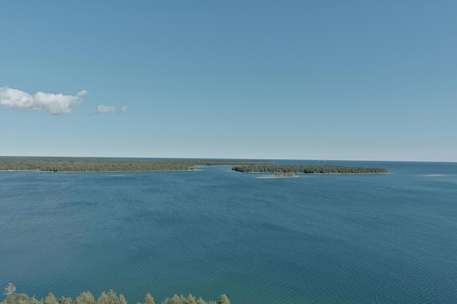 36533 S Parrish Point Rd, Drummond Island, MI 49726 - photo 57
