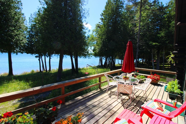 36533 S Parrish Point Rd, Drummond Island, MI 49726 - photo 19