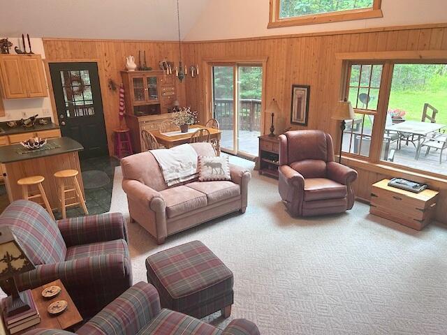 24919 E Riverside Dr, Hillman, MI 49746 - photo 9