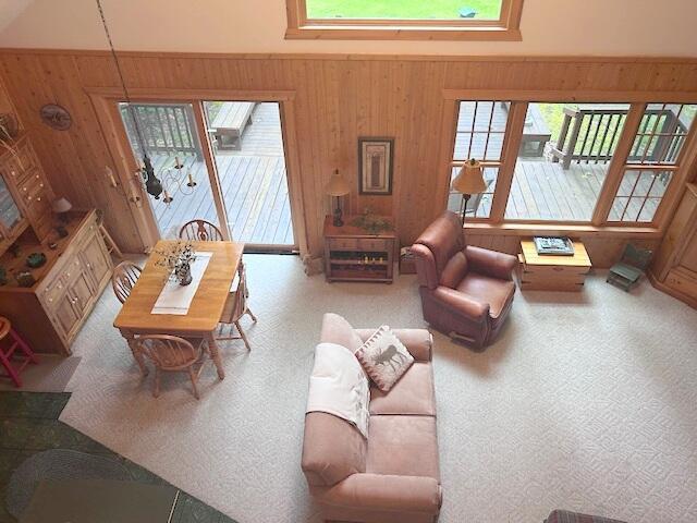 24919 E Riverside Dr, Hillman, MI 49746 - photo 11