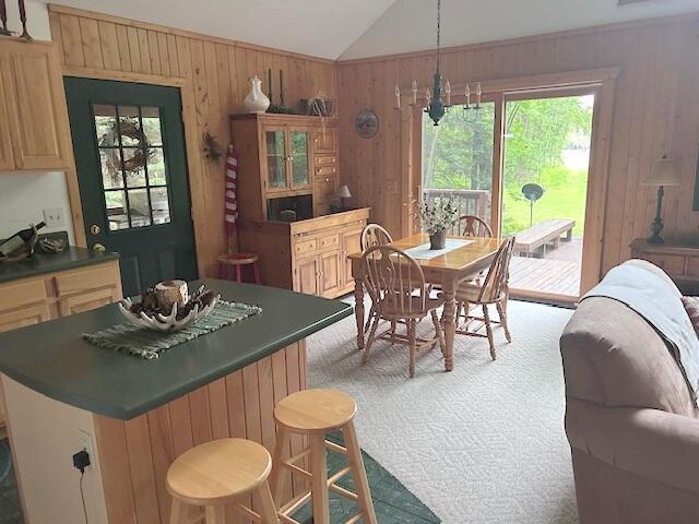 24919 E Riverside Dr, Hillman, MI 49746 - photo 14