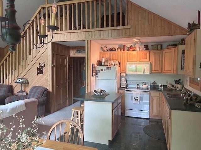 24919 E Riverside Dr, Hillman, MI 49746 - photo 16