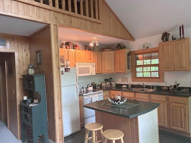24919 E Riverside Dr, Hillman, MI 49746 - photo 17