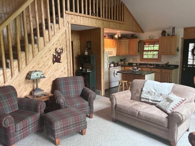24919 E Riverside Dr, Hillman, MI 49746 - photo 18
