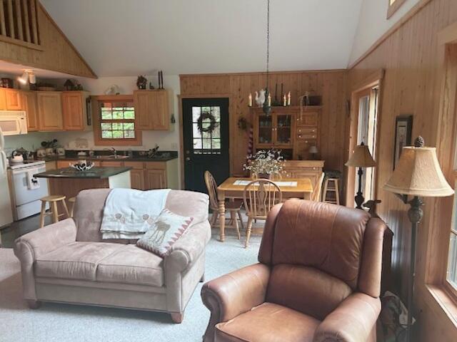 24919 E Riverside Dr, Hillman, MI 49746 - photo 19