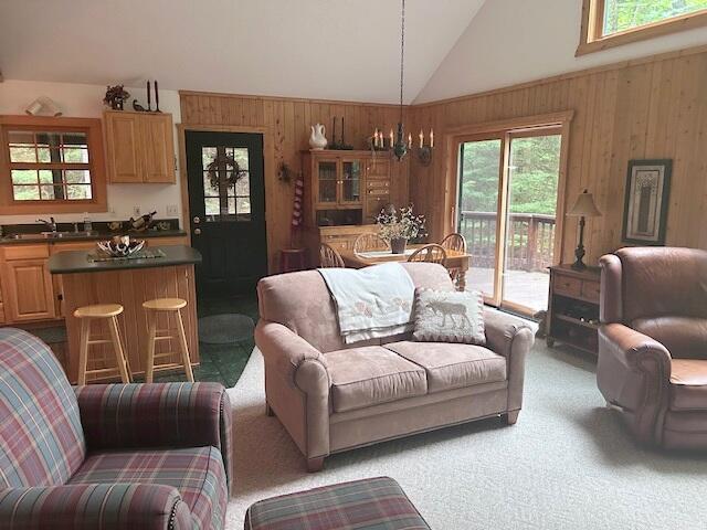 24919 E Riverside Dr, Hillman, MI 49746 - photo 20