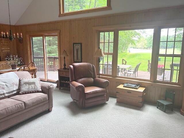 24919 E Riverside Dr, Hillman, MI 49746 - photo 21