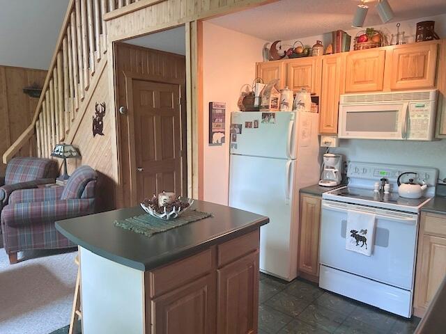 24919 E Riverside Dr, Hillman, MI 49746 - photo 24