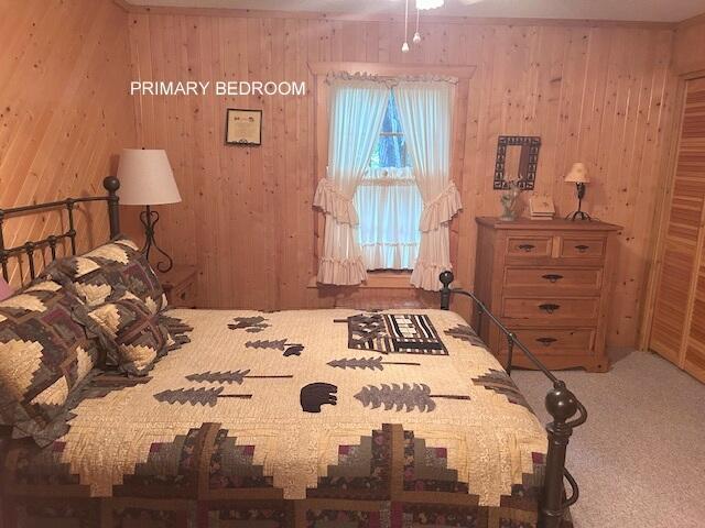 24919 E Riverside Dr, Hillman, MI 49746 - photo 25