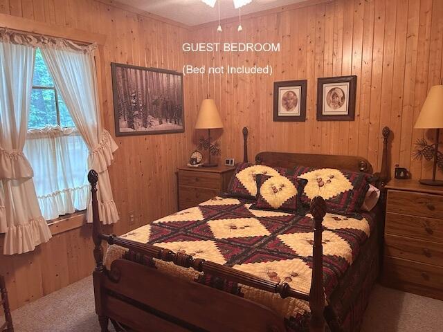 24919 E Riverside Dr, Hillman, MI 49746 - photo 30