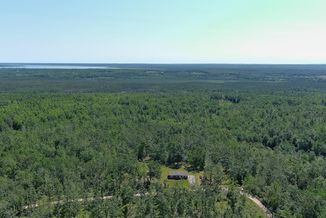 20995 Baldwin Rd, Hillman, MI 49746 - photo 39