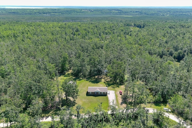 20995 Baldwin Rd, Hillman, MI 49746 - photo 4