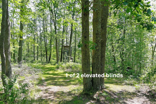 20995 Baldwin Rd, Hillman, MI 49746 - photo 49