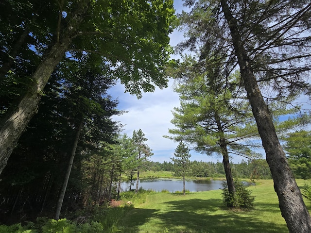 8716 W Mccollum Lake Rd, Curran, MI 48728 - photo 7