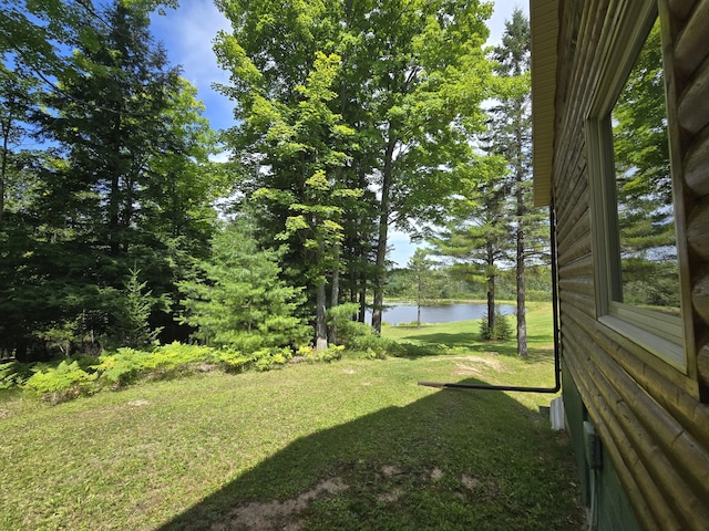 8716 W Mccollum Lake Rd, Curran, MI 48728 - photo 8
