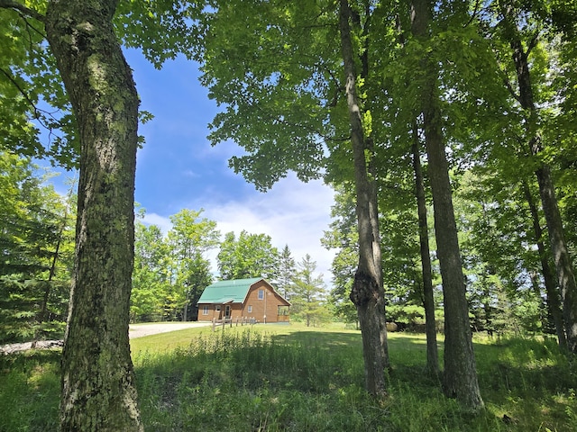8716 W Mccollum Lake Rd, Curran, MI 48728 - photo 11